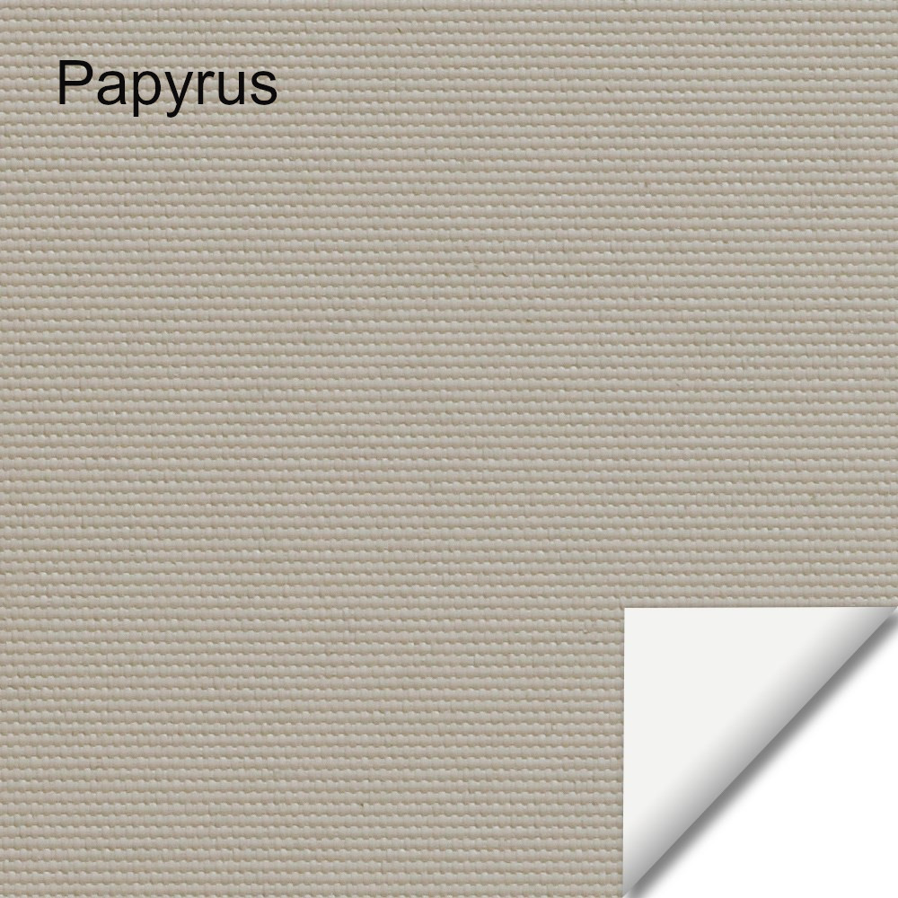 48_Papyrus